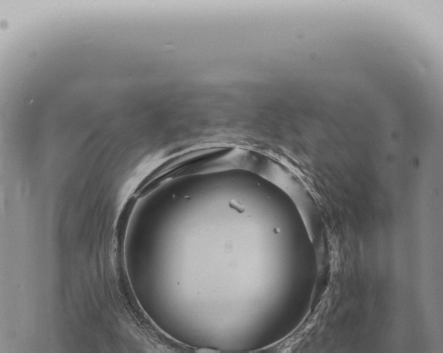 X0000073720152200608101913