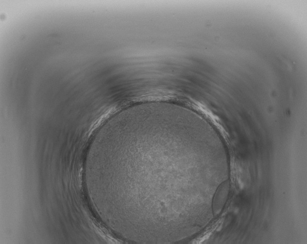 X0000073720153200608101913