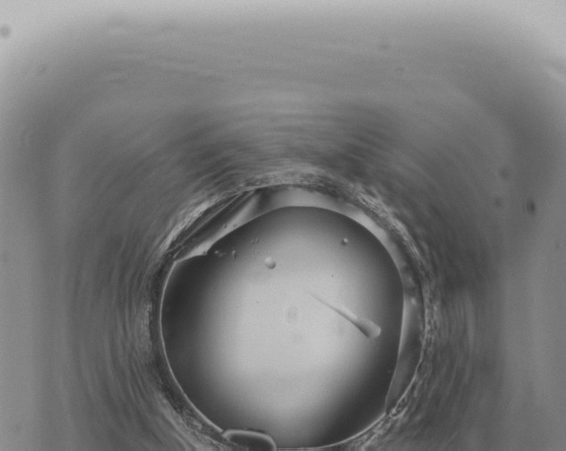 X0000073720154200608101913