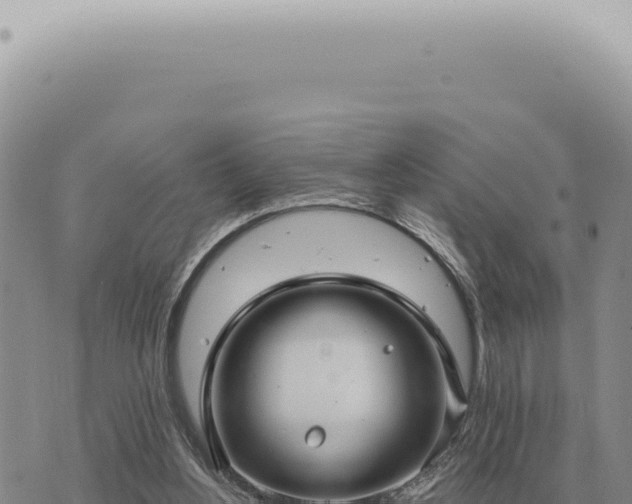 X0000073720156200608101913