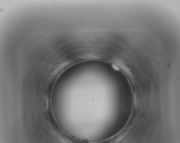 X0000073720157200608101913