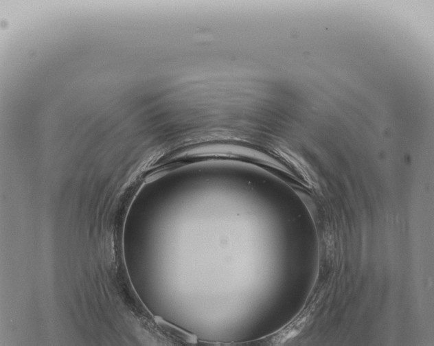 X0000073720158200608101913