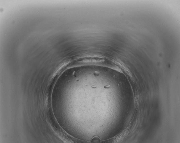 X0000073720159200608101913