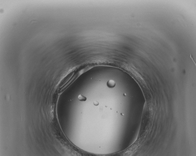 X0000073720160200608101913