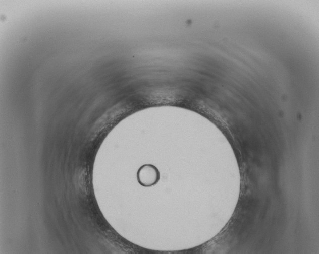 X0000073720162200608101913