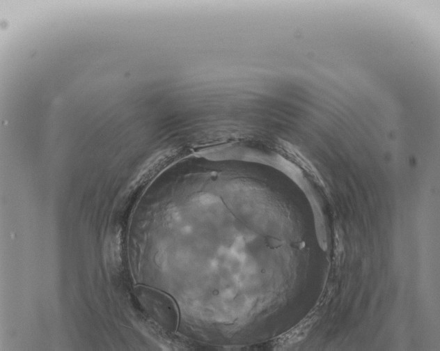 X0000073720163200608101913