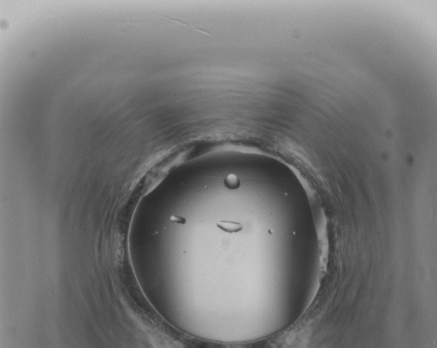 X0000073720164200608101913