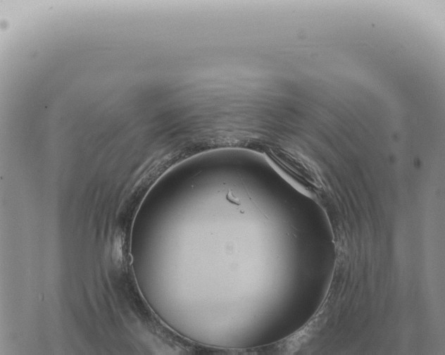 X0000073720166200608101913