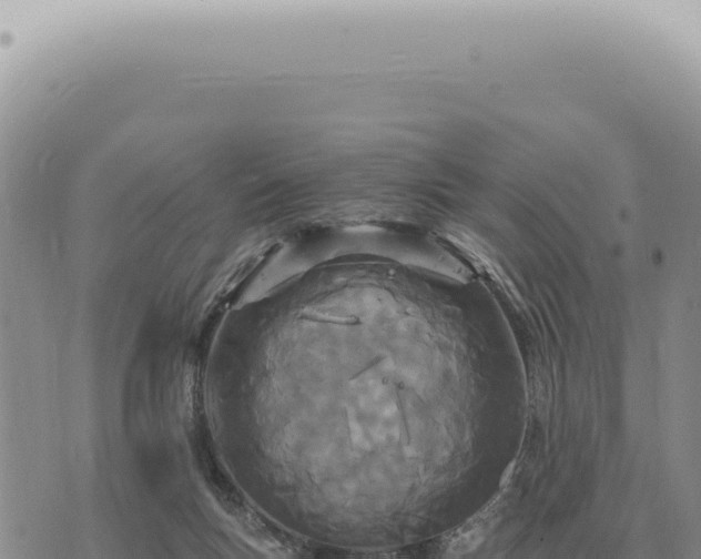 X0000073720167200608101913