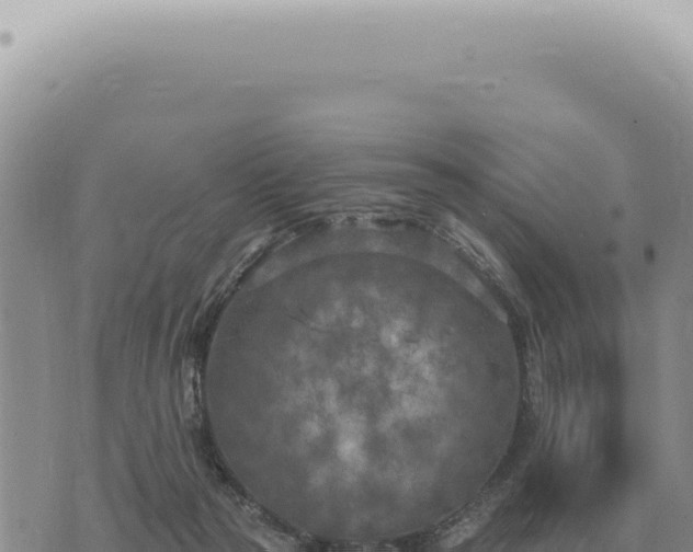 X0000073720169200608101913