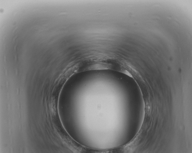 X0000073720170200608101913