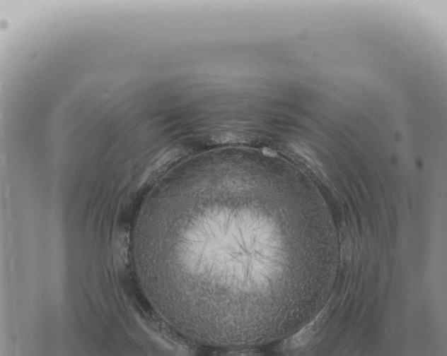 X0000073720171200608101913