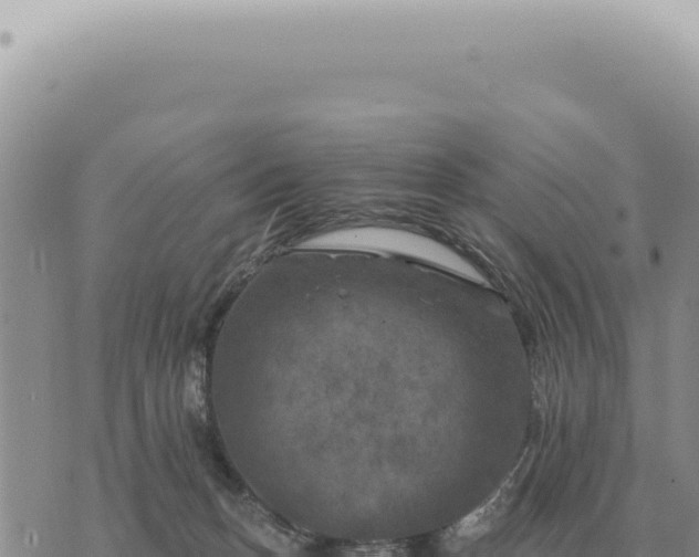 X0000073720175200608101913