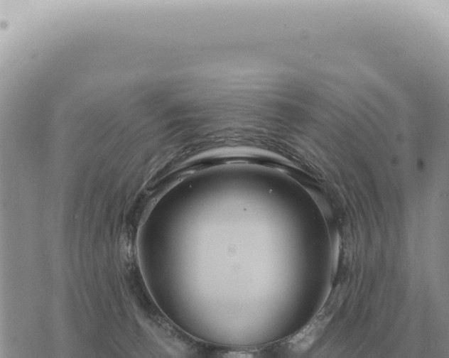 X0000073720176200608101913