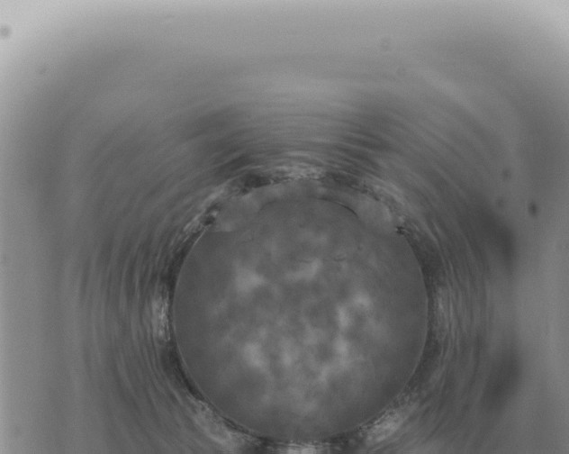 X0000073720177200608101913