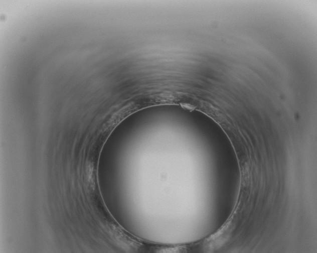 X0000073720178200608101913