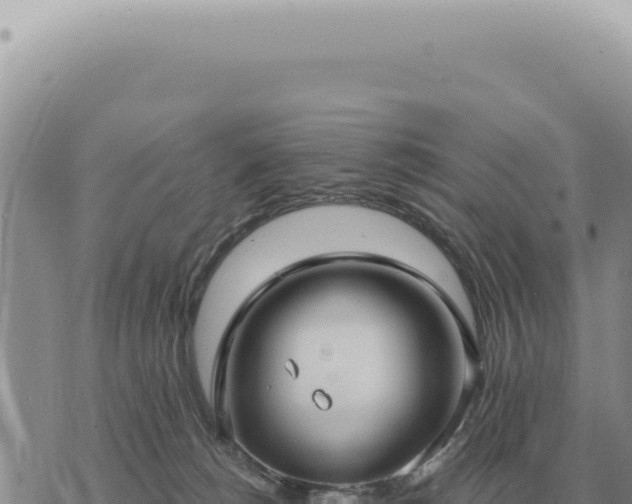 X0000073720180200608101913