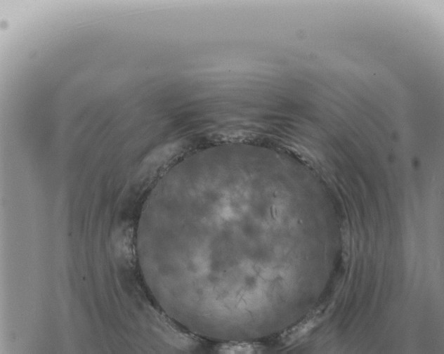 X0000073720181200608101913