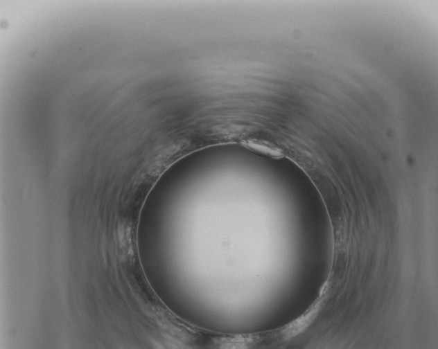 X0000073720182200608101913