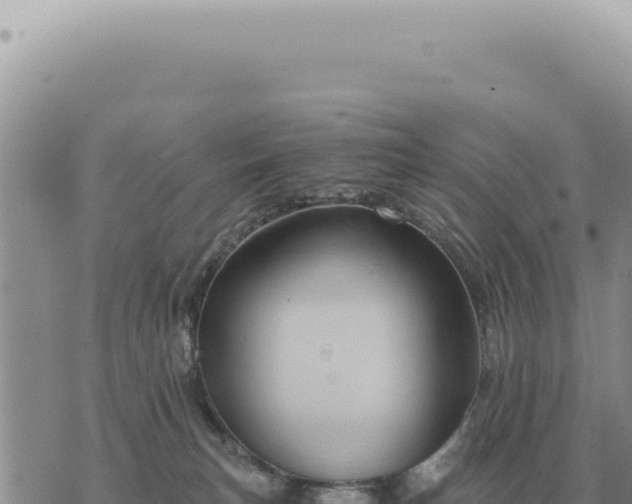 X0000073720183200608101913