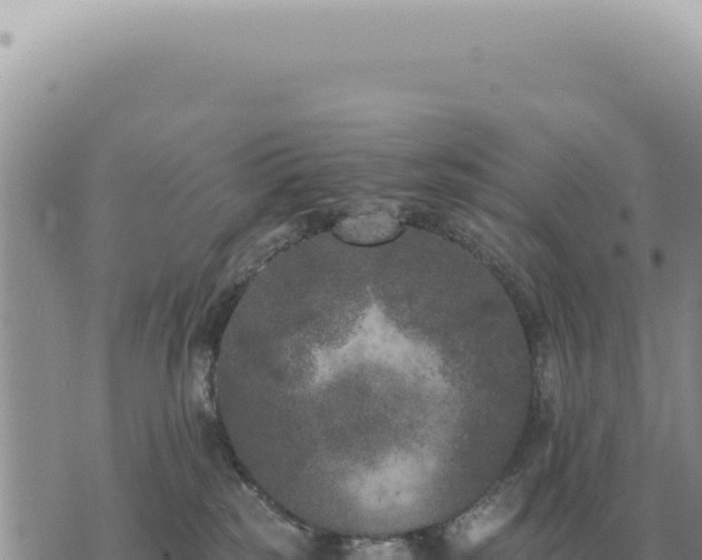 X0000073720185200608101913