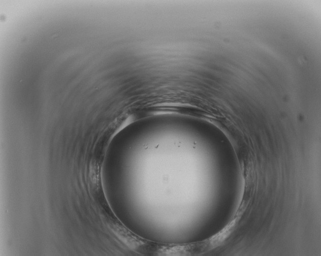 X0000073720186200608101913