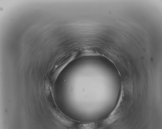 X0000073720188200608101913