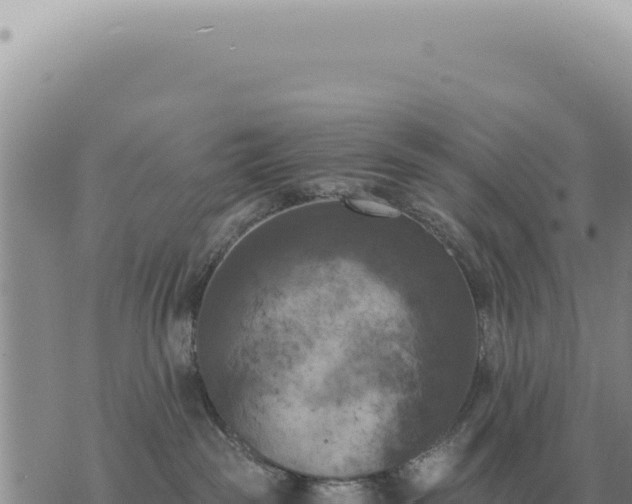 X0000073720189200608101913