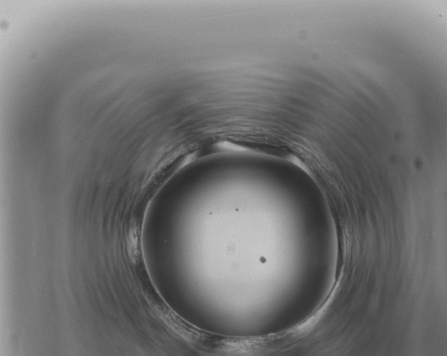 X0000073720190200608101913