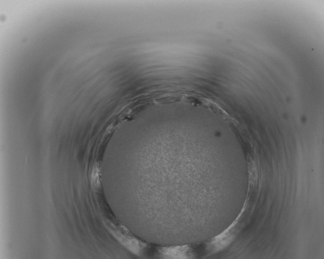 X0000073720191200608101913