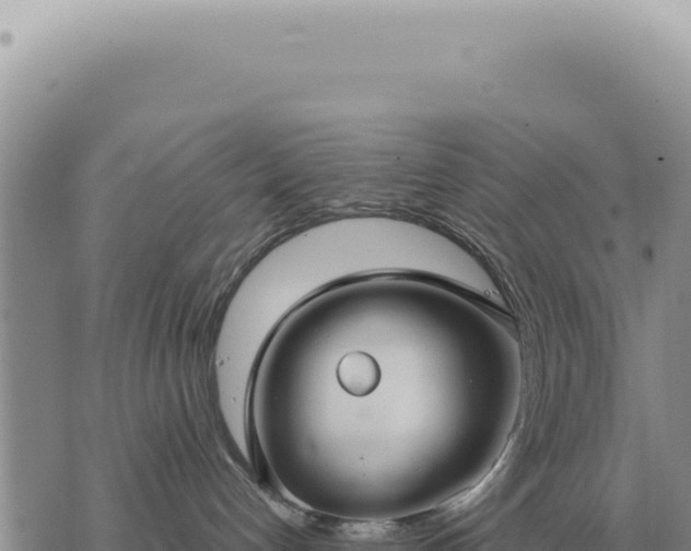 X0000073720192200608101913