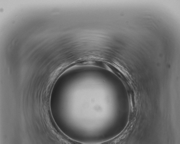 X0000073720193200608101912