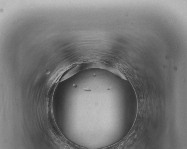 X0000073720194200608101912