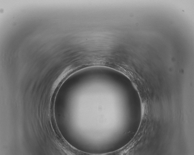 X0000073720195200608101912