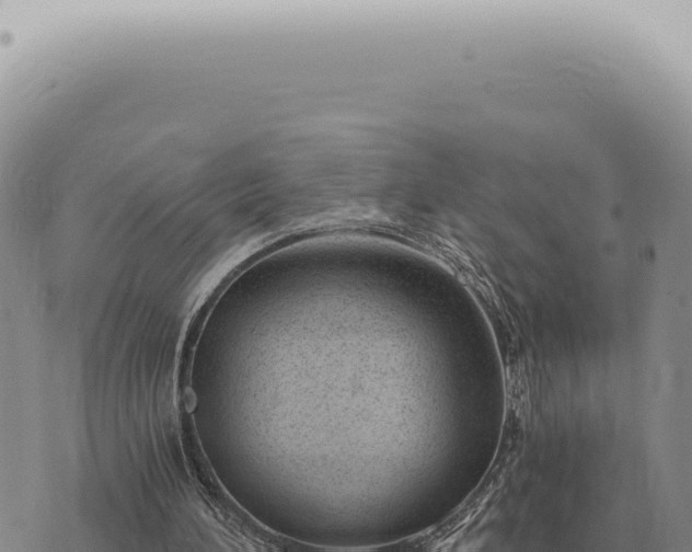 X0000073720196200608101912