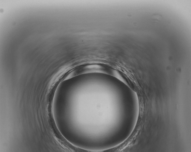 X0000073720197200608101912