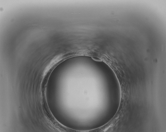 X0000073720198200608101912