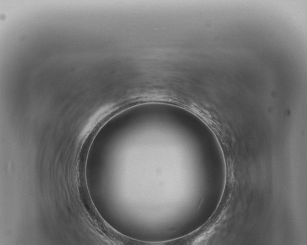 X0000073720199200608101912