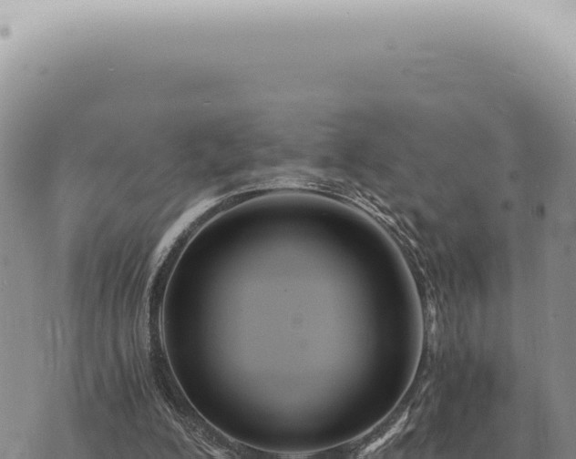 X0000073720200200608101912