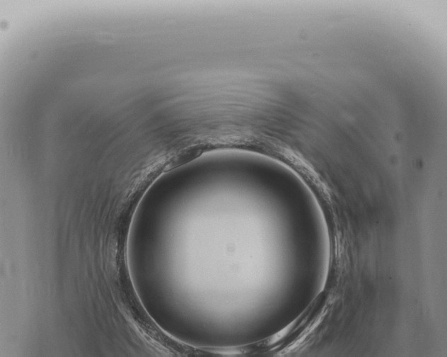 X0000073720201200608101912