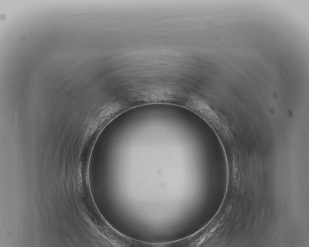 X0000073720202200608101912