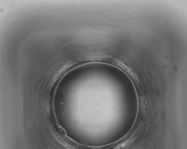 X0000073720203200608101912