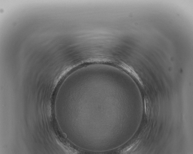 X0000073720204200608101912