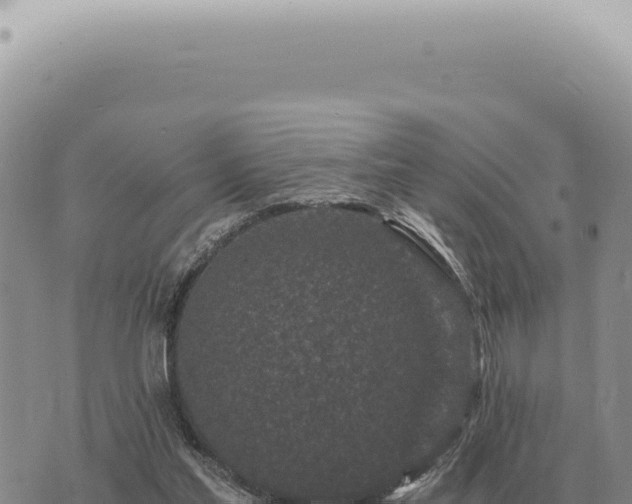 X0000073720205200608101912