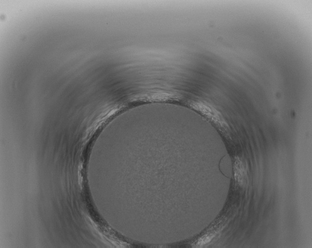 X0000073720206200608101912