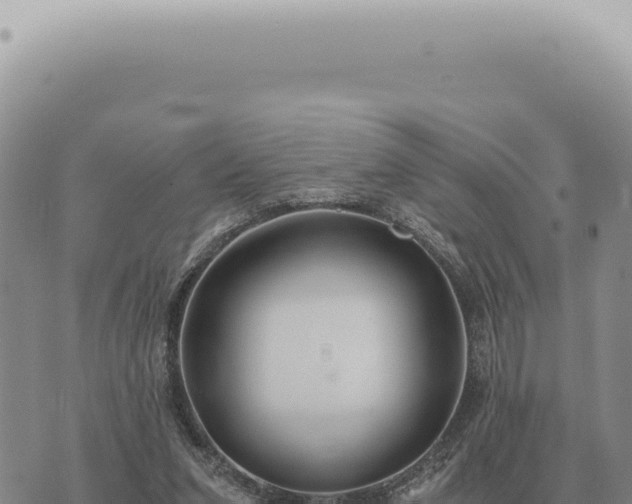 X0000073720207200608101912