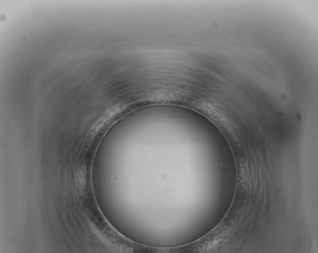 X0000073720208200608101912