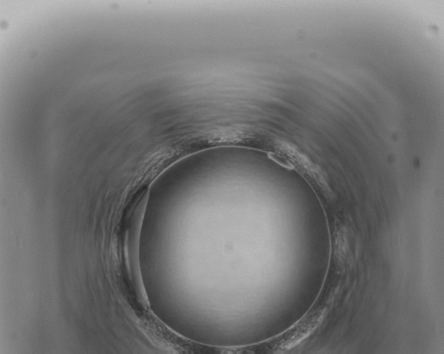 X0000073720209200608101912