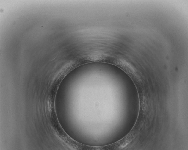 X0000073720210200608101912