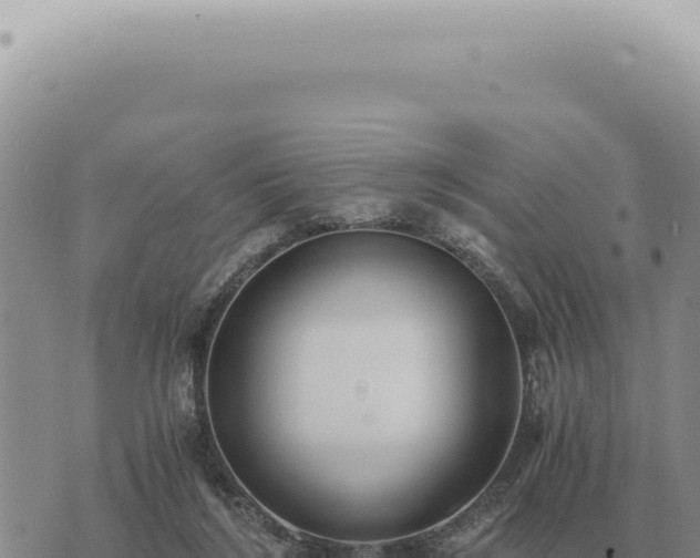 X0000073720212200608101912